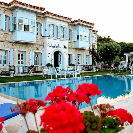 Hotel Balambaka - *